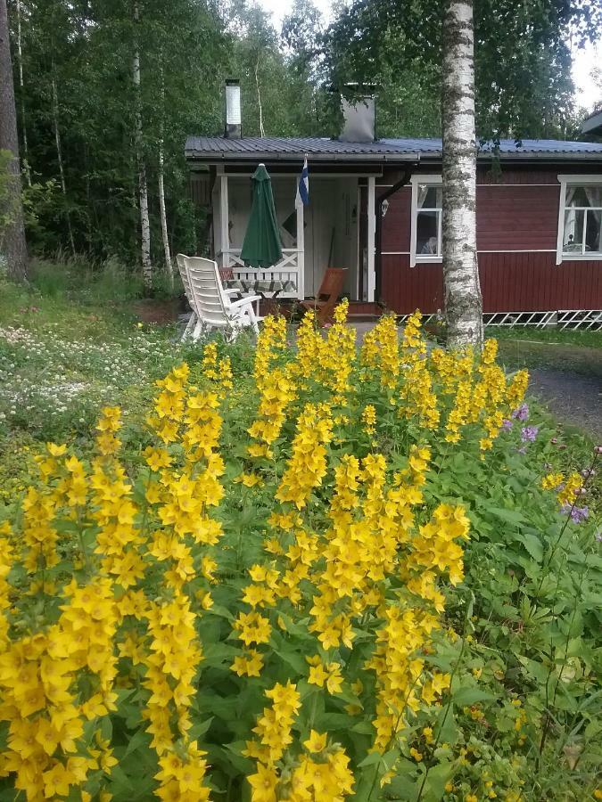 Ilmastoitu Kesaemoekki Askolassa Laehellae Porvoota Exteriér fotografie